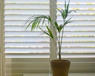 Plantation Shutters